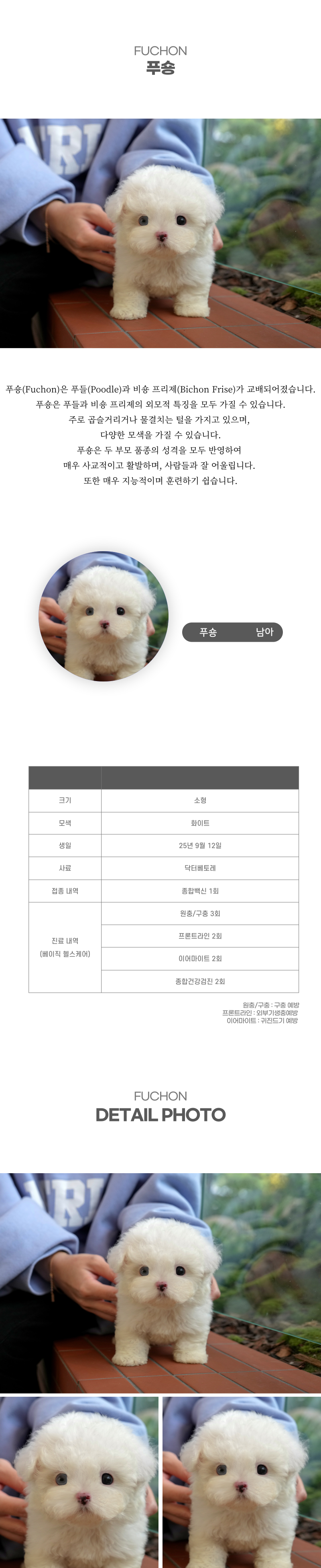 푸숑_상세이미지_2