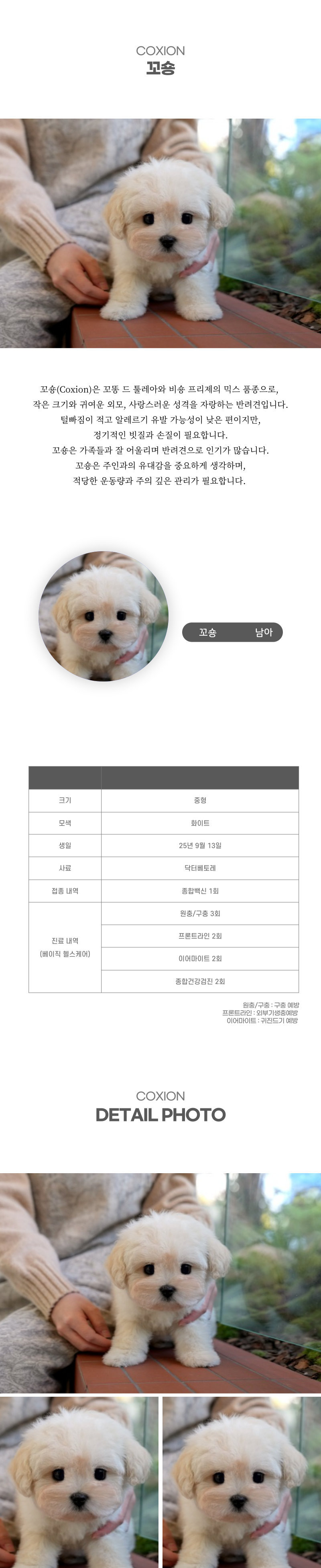 꼬숑_상세이미지_2