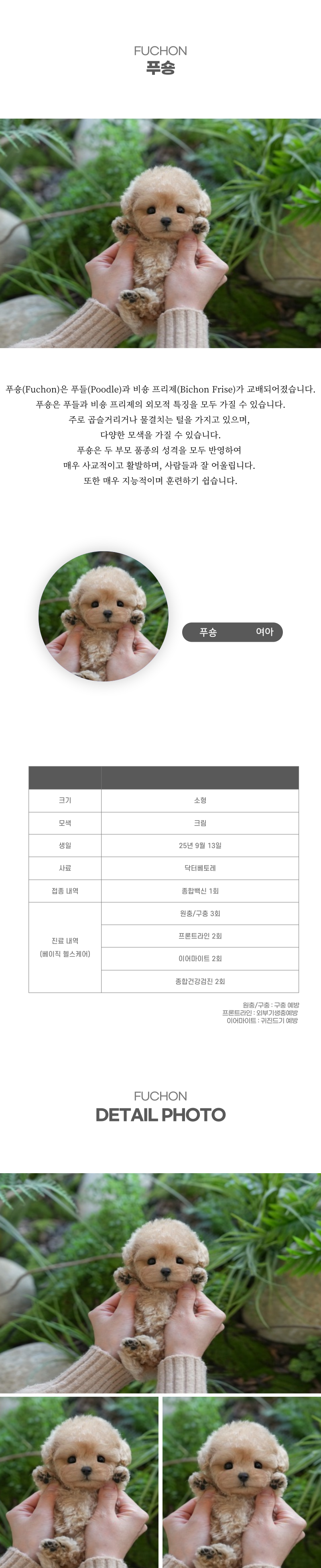푸숑_상세이미지_2