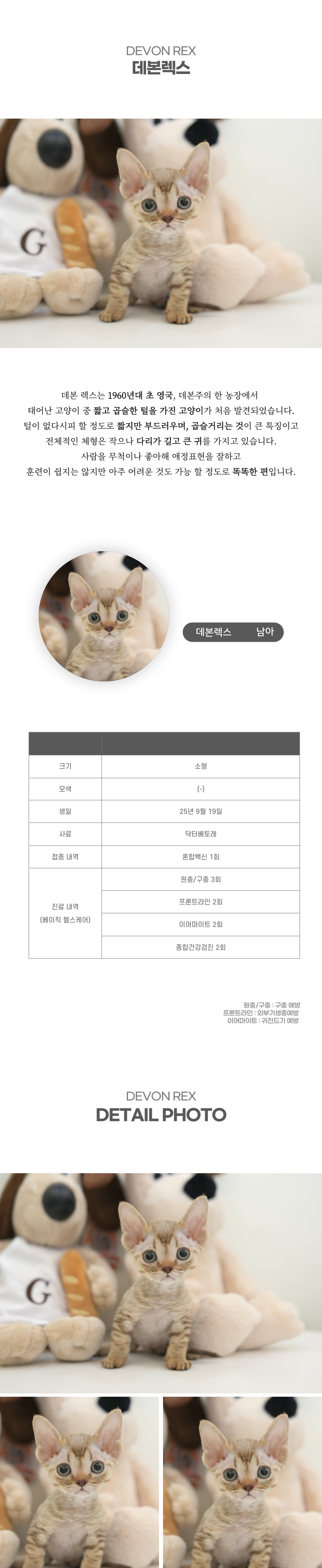 데본렉스_상세이미지_2