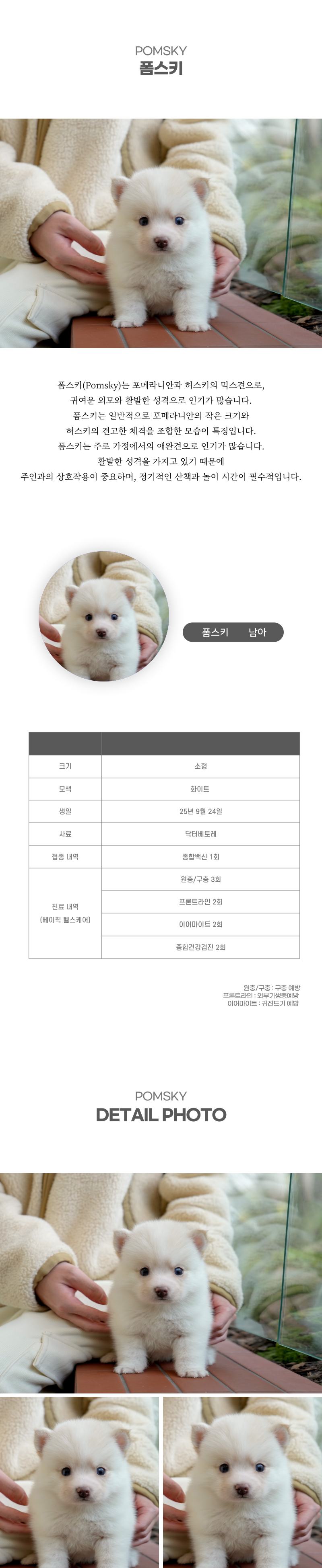 폼스키_상세이미지_2