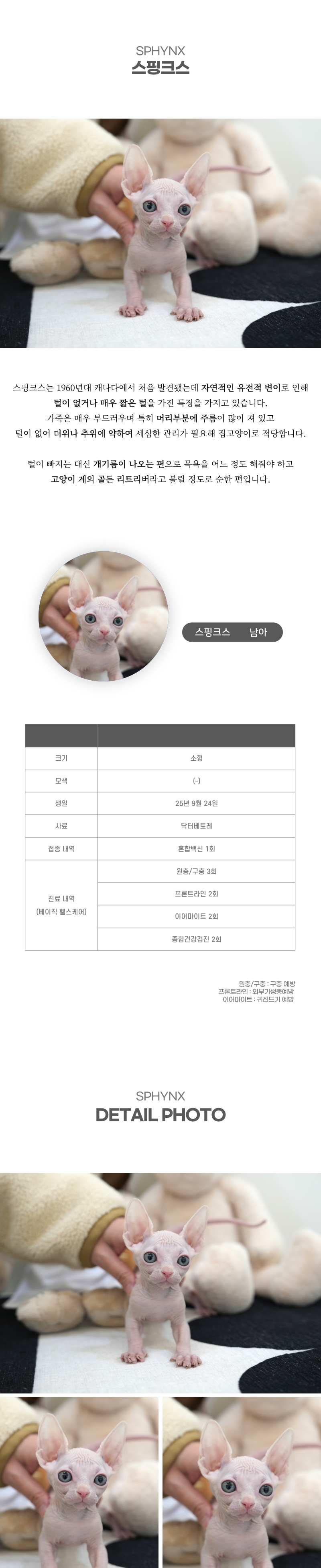 스핑크스_상세이미지_2