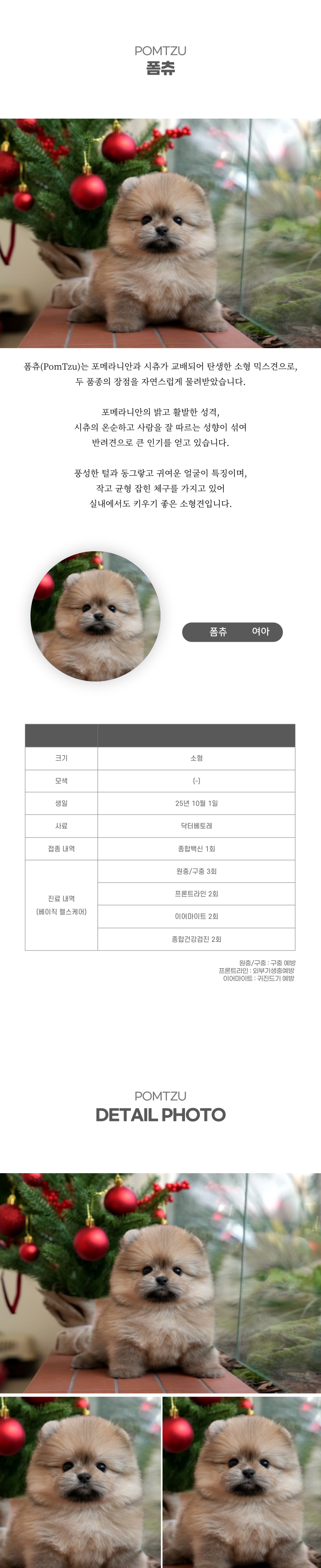 폼츄_상세이미지_2