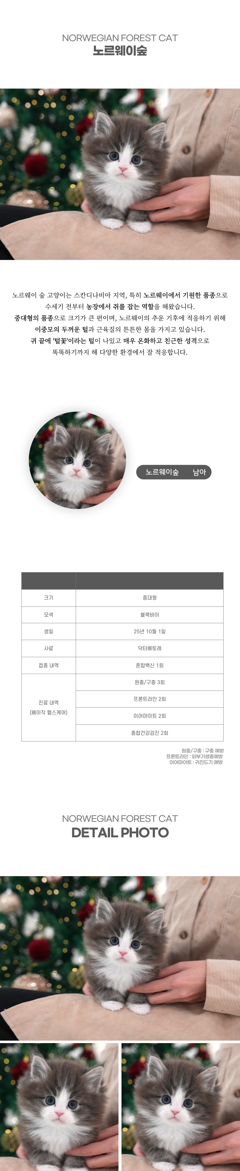 노르웨이숲_상세이미지_2
