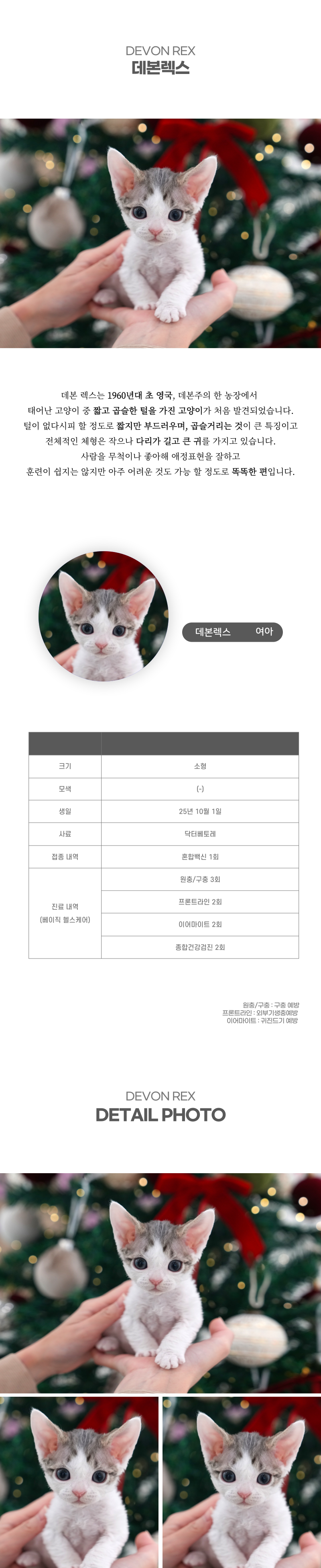 데본렉스_상세이미지_2