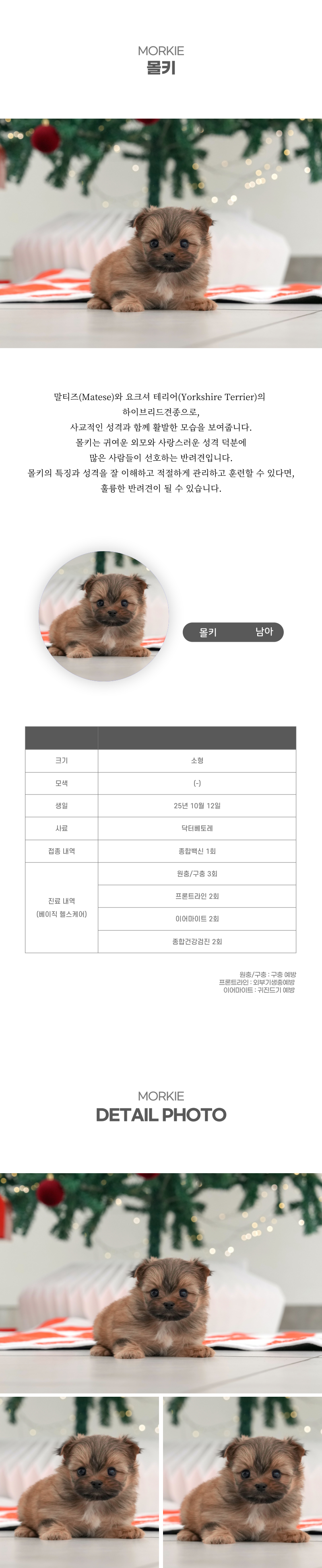 몰키_상세이미지_2