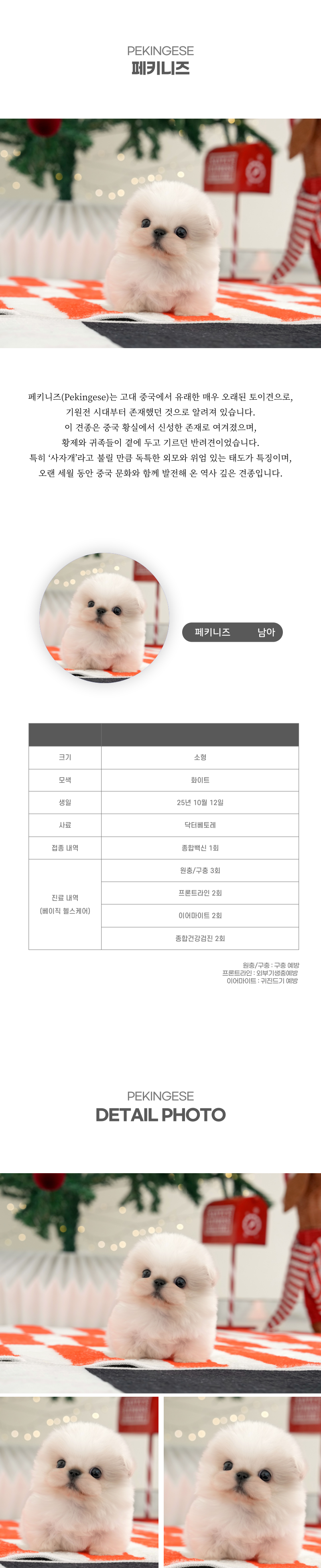 페키니즈_상세이미지_2