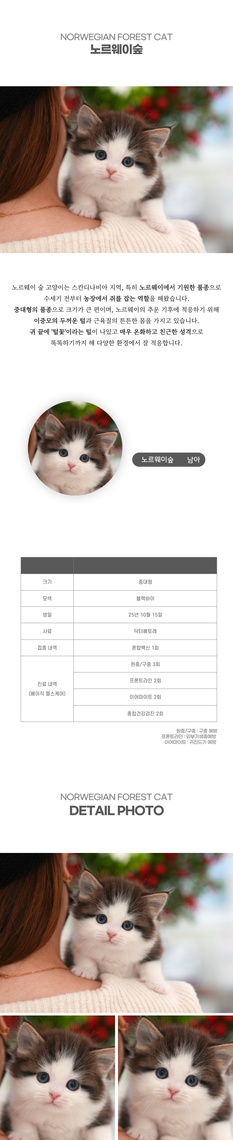 노르웨이숲_상세이미지_2