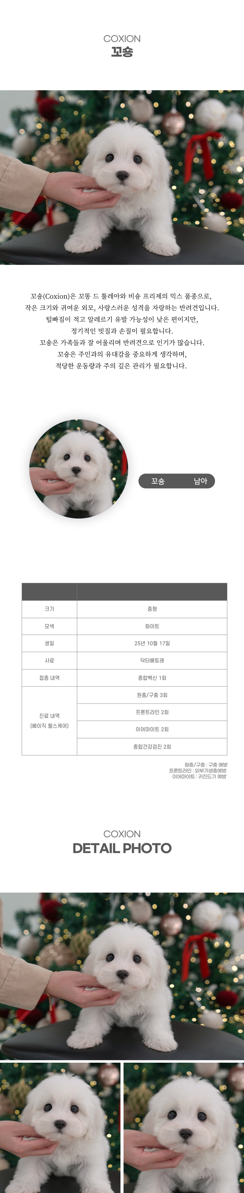 꼬숑_상세이미지_2