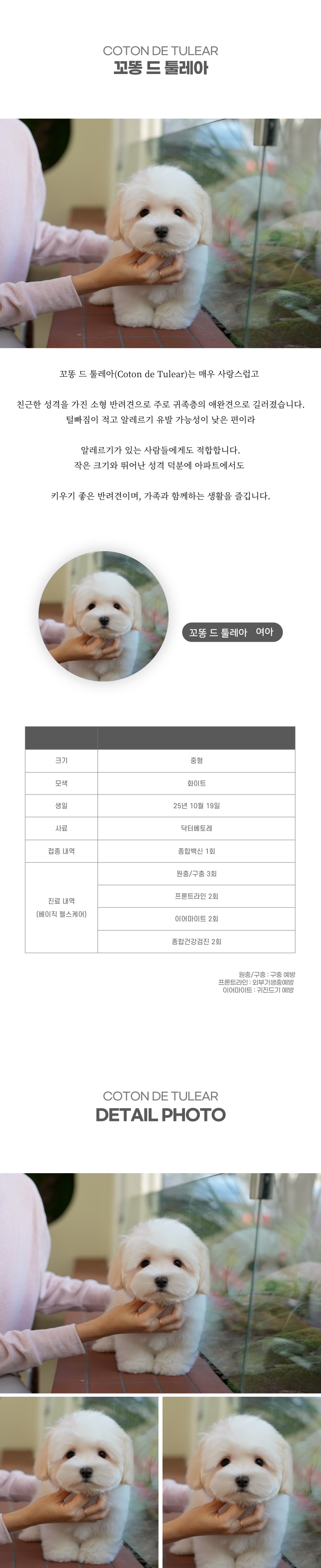 꼬똥_상세이미지_2