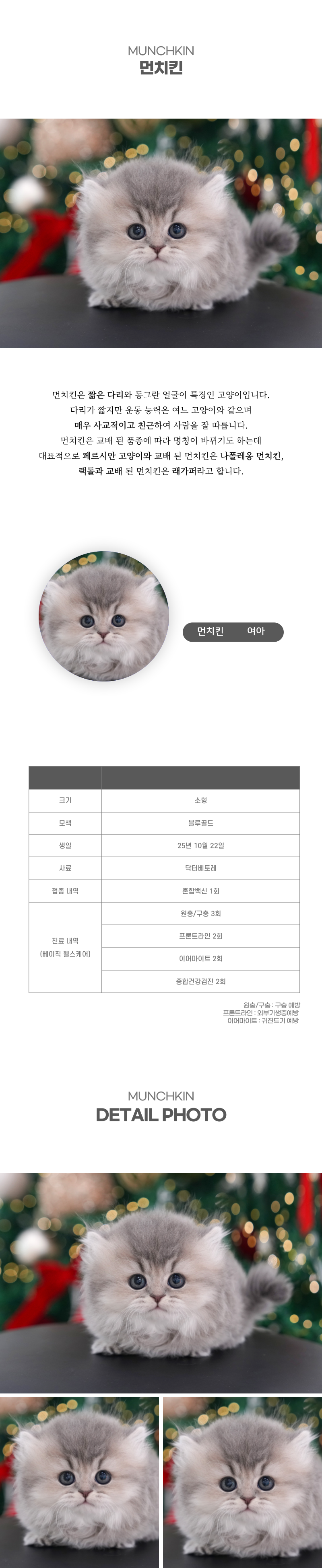 먼치킨_상세이미지_2