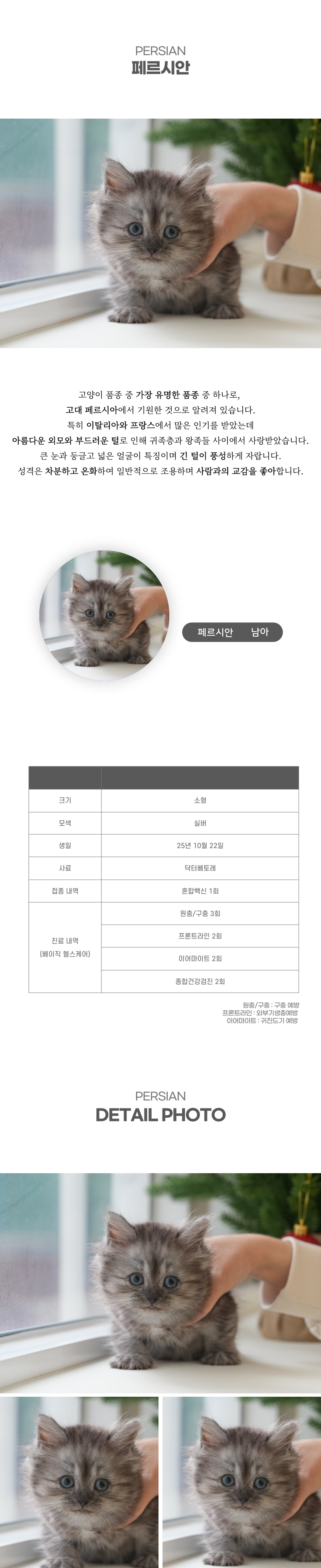 페르시안_상세이미지_2