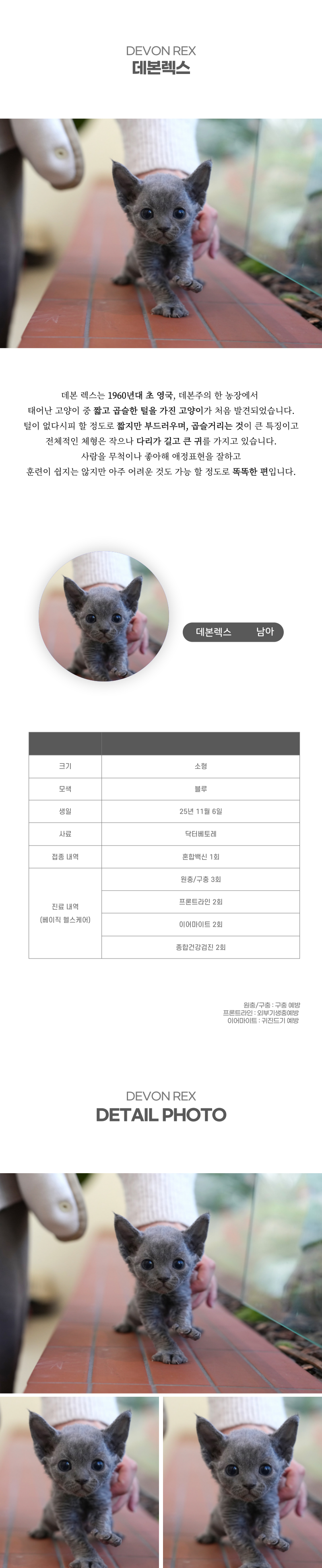 데본렉스_상세이미지_2