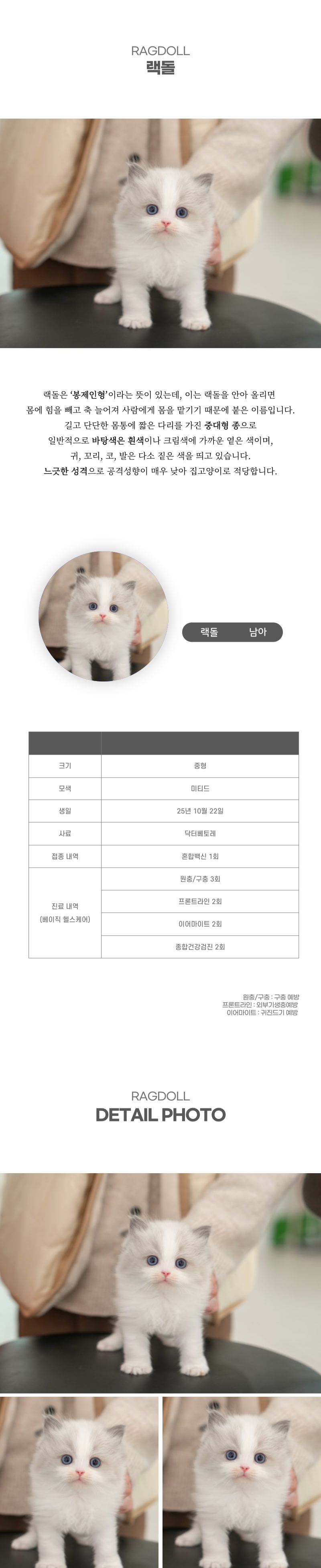 랙돌_상세이미지_2