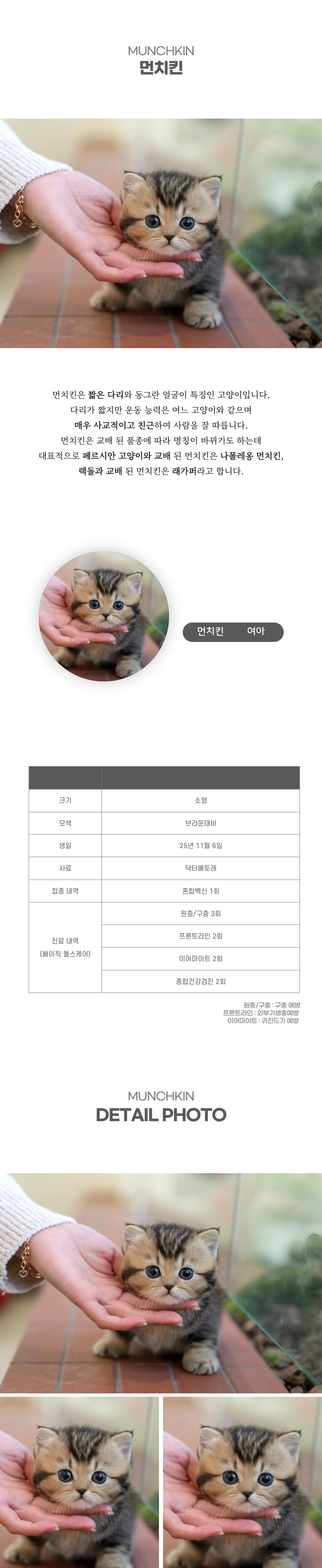 먼치킨_상세이미지_2