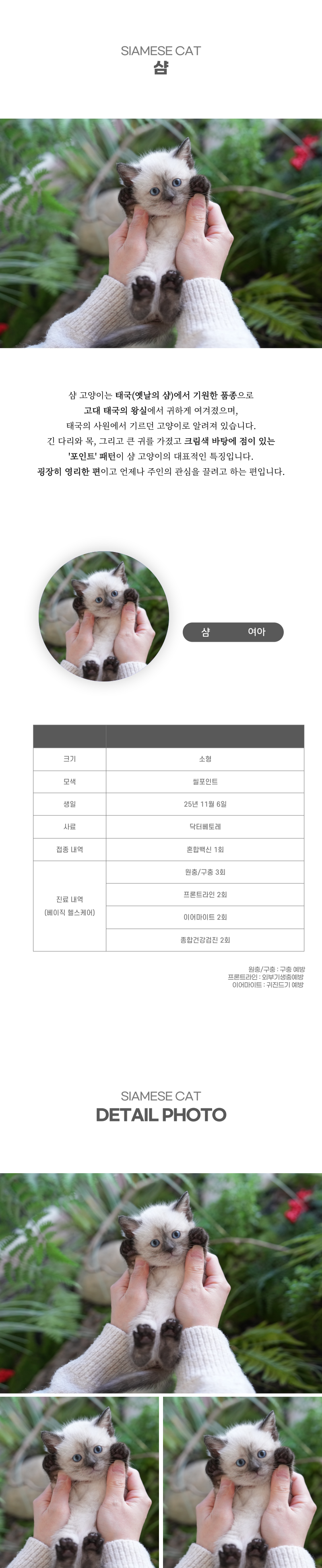 샴_상세이미지_2