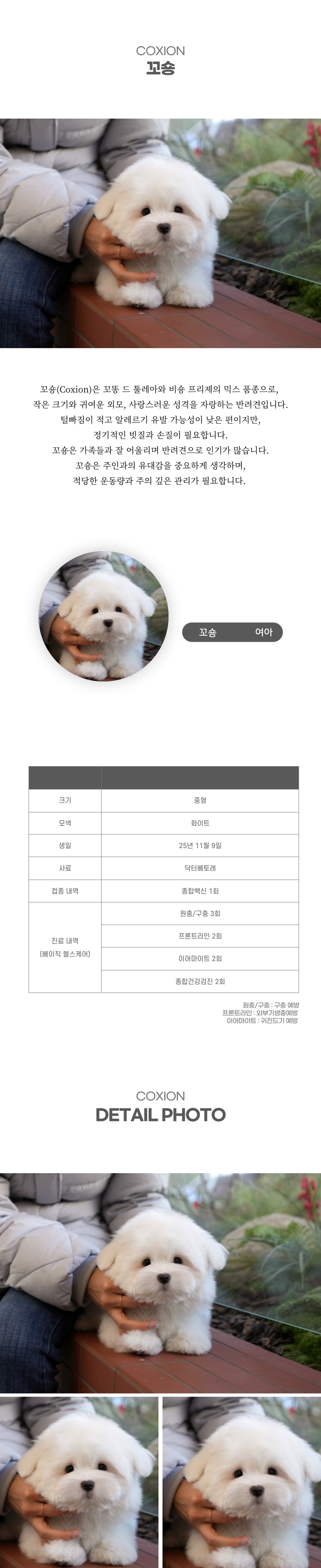 꼬숑_상세이미지_2