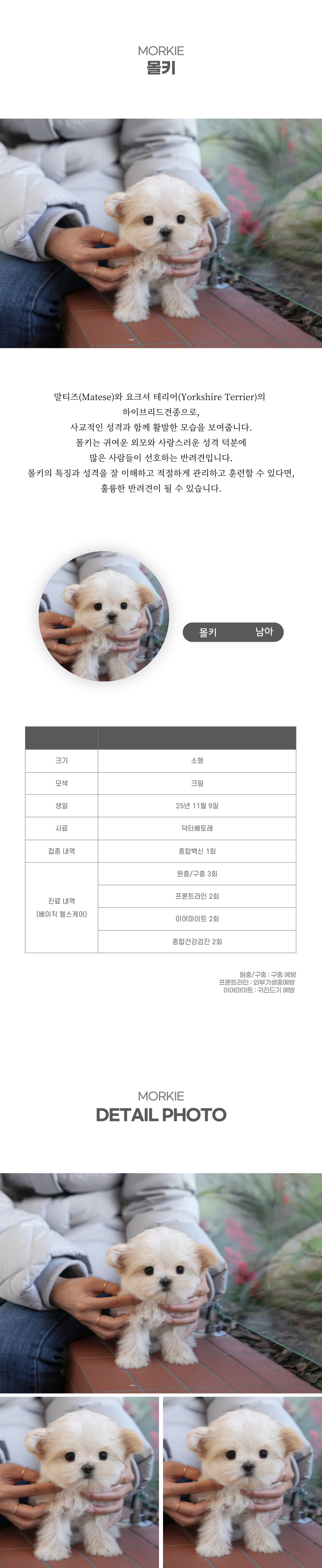 몰키_상세이미지_2