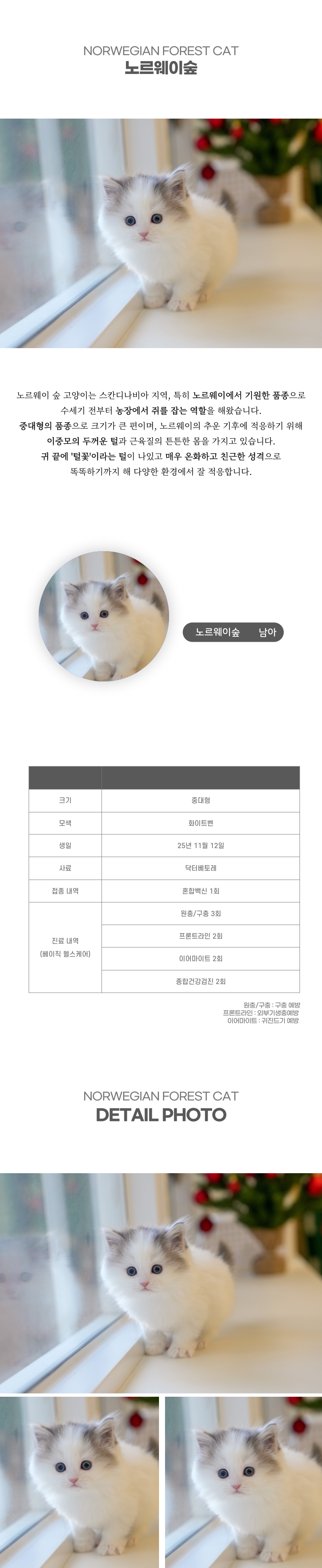 노르웨이숲_상세이미지_2