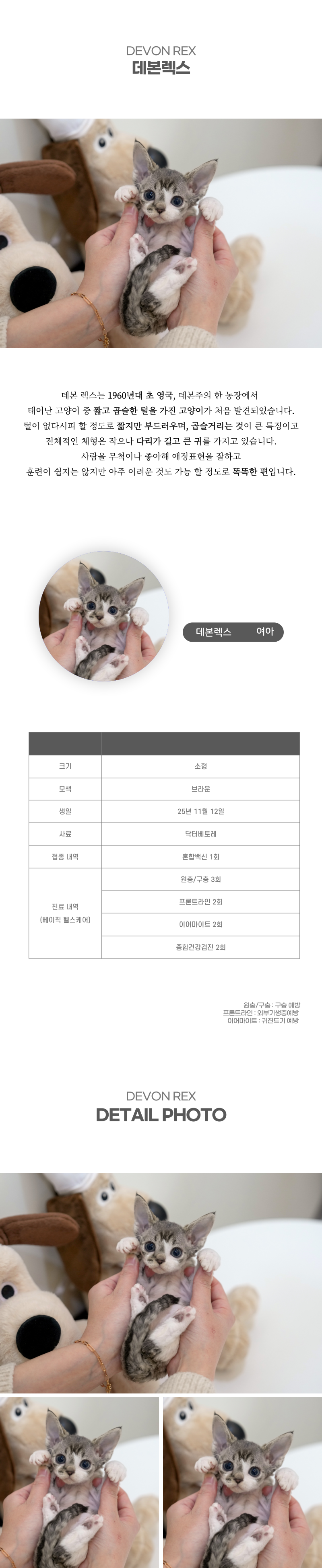 데본렉스_상세이미지_2