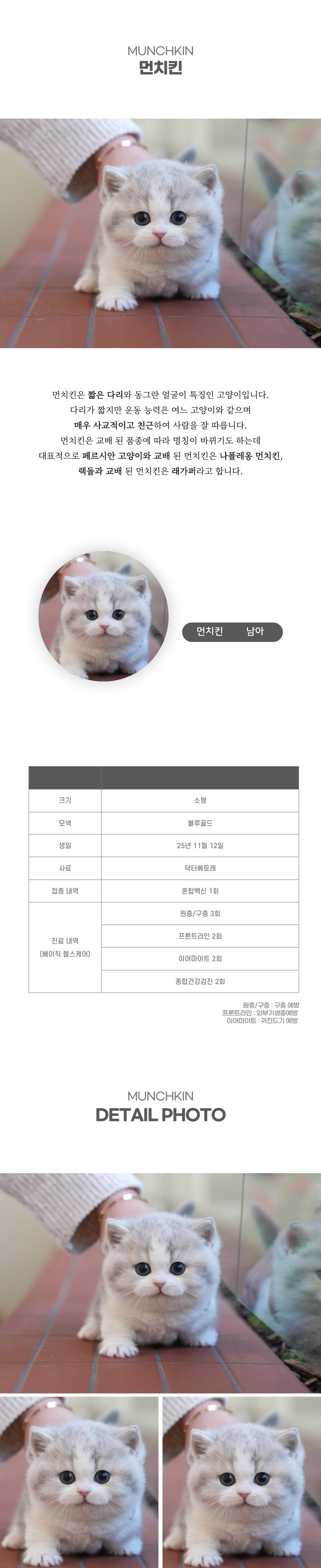 먼치킨_상세이미지_2