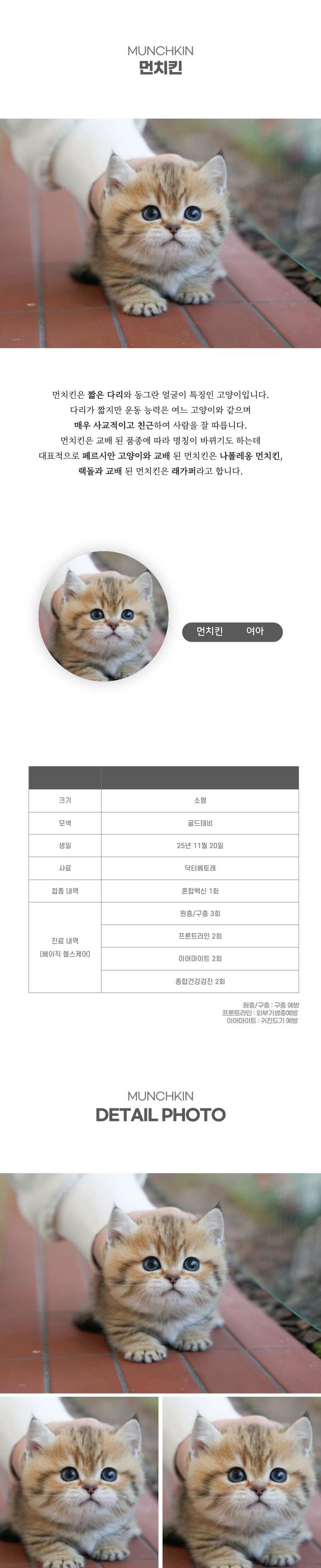 먼치킨_상세이미지_2