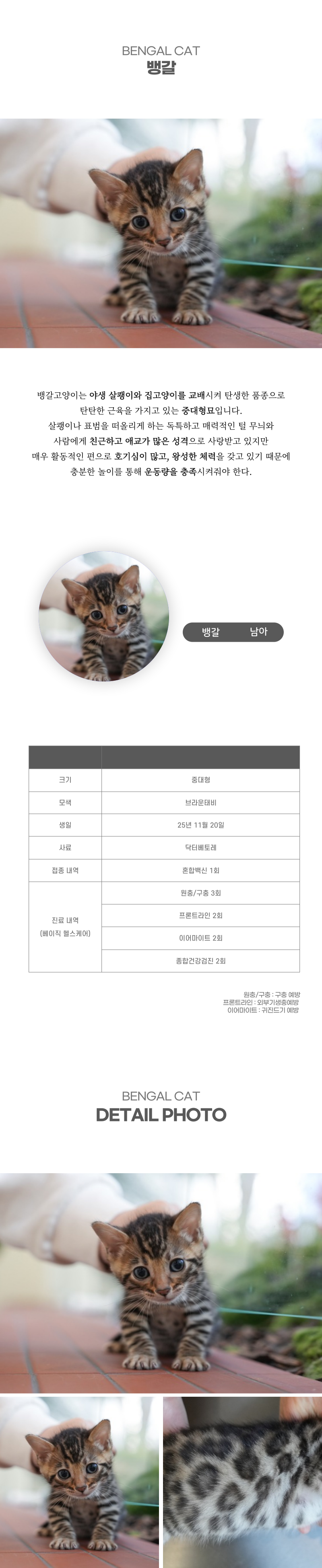 뱅갈_상세이미지_2