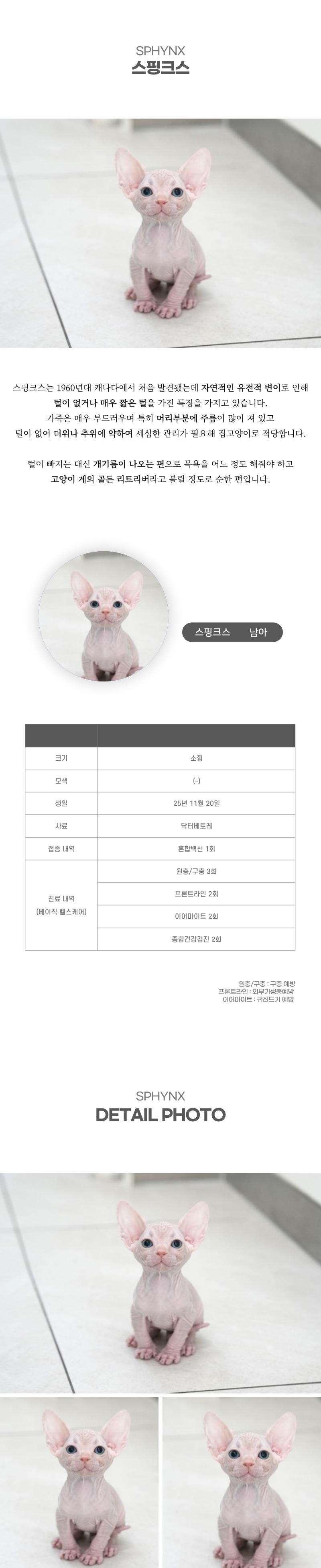 스핑크스_상세이미지_2