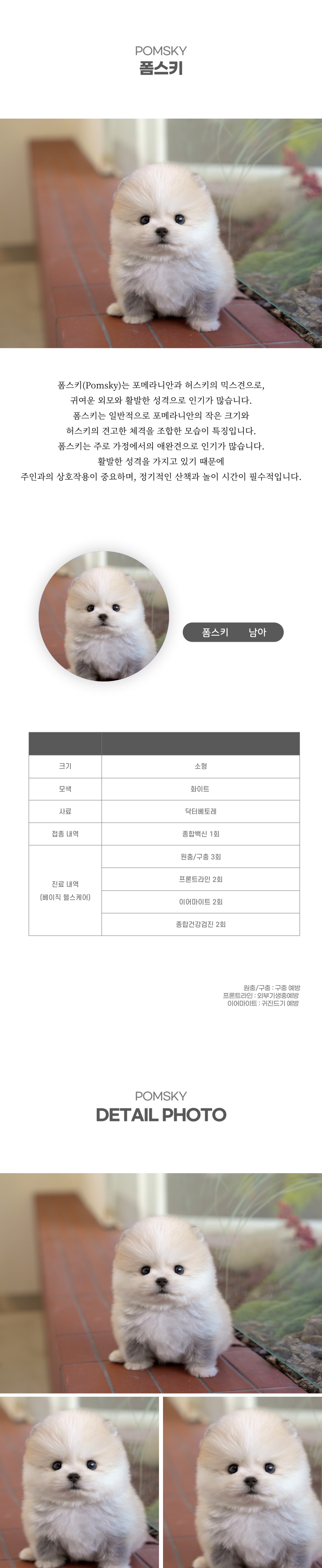 폼스키_상세이미지_2