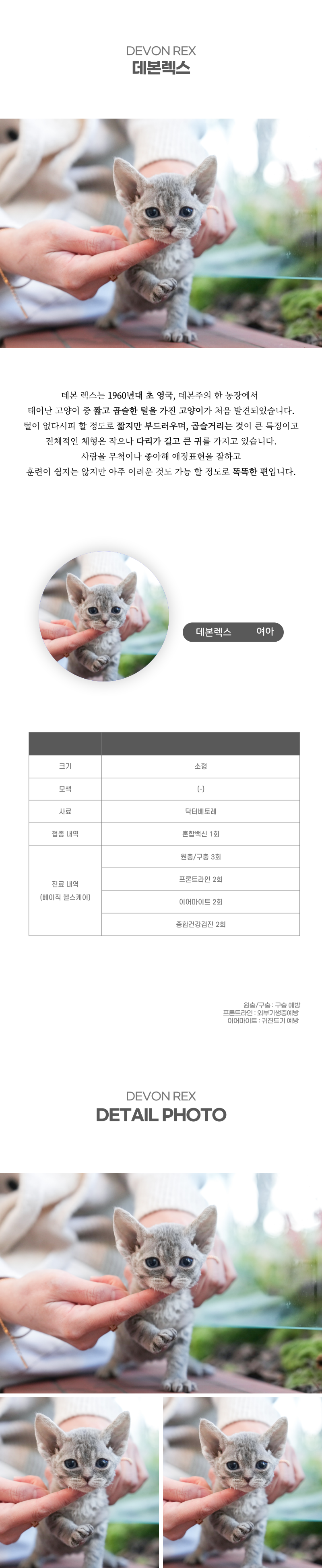 데본렉스_상세이미지_2
