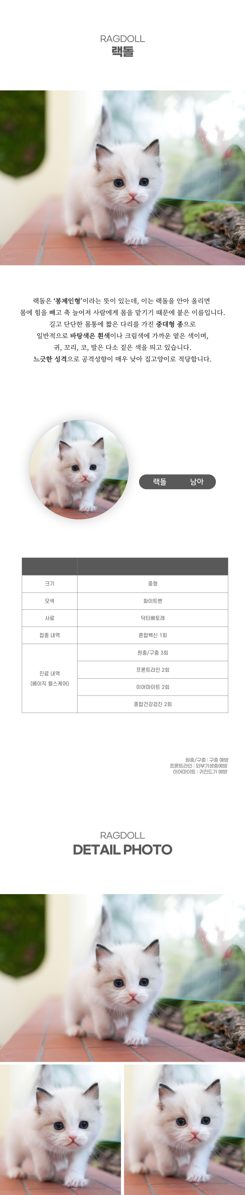 랙돌_상세이미지_2