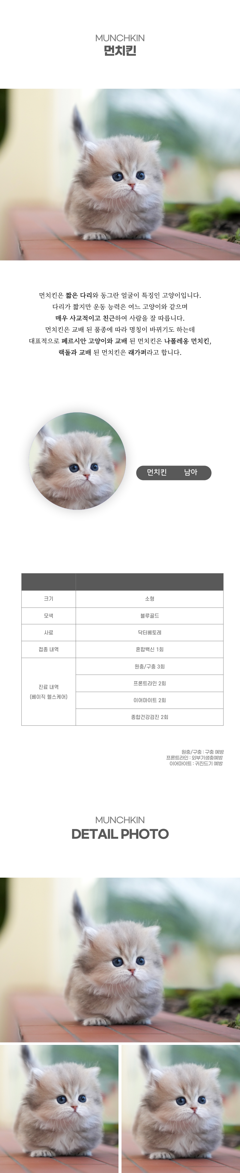 먼치킨_상세이미지_2