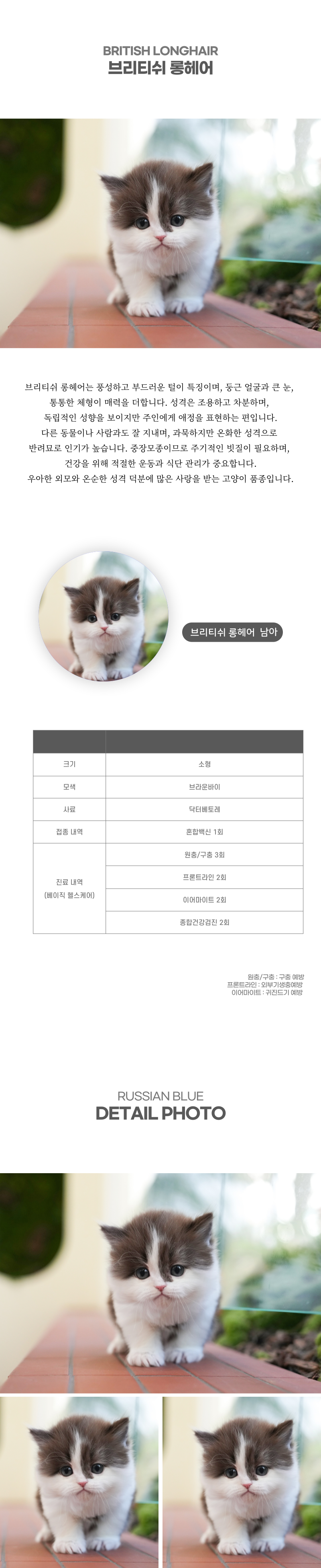 브리티쉬롱헤어_상세이미지_2