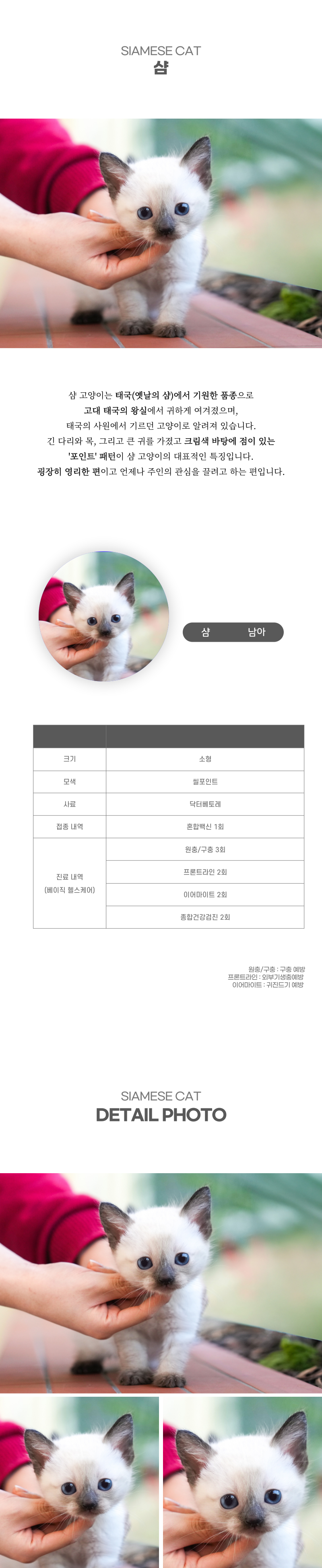 샴_상세이미지_2