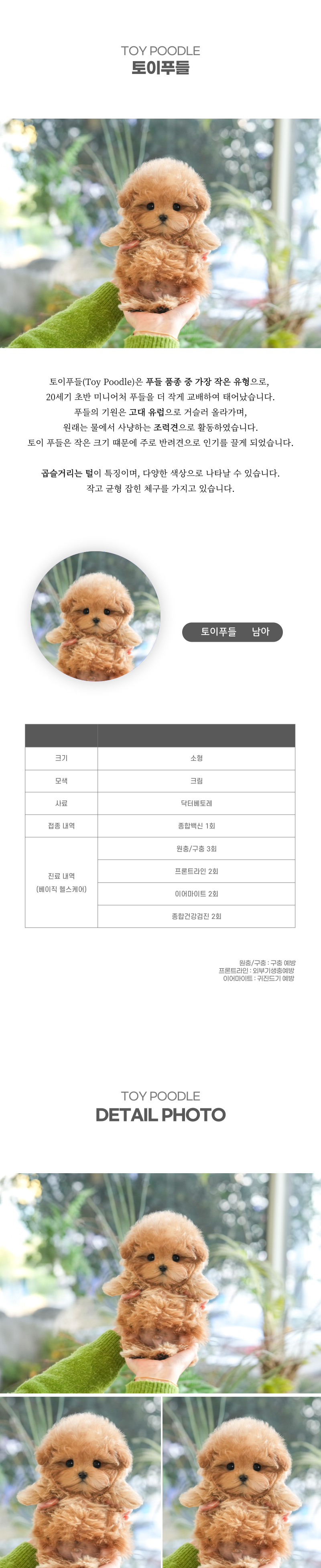 토이푸들_상세이미지_2