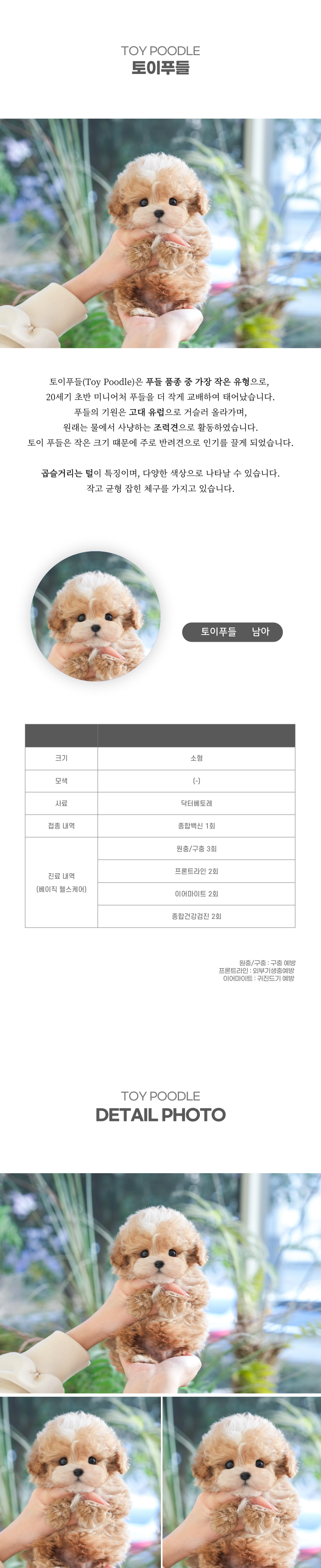 토이푸들_상세이미지_2