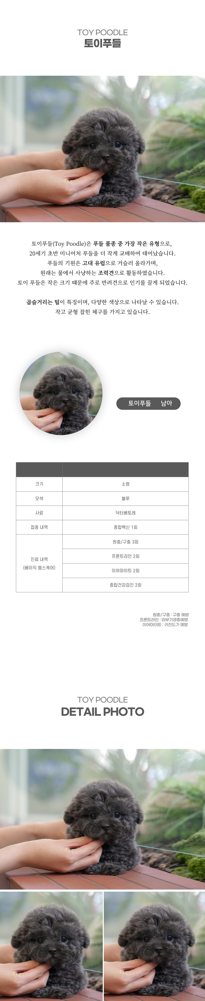 토이푸들_상세이미지_2