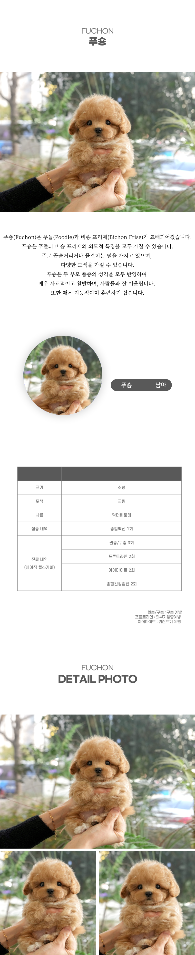 푸숑_상세이미지_2