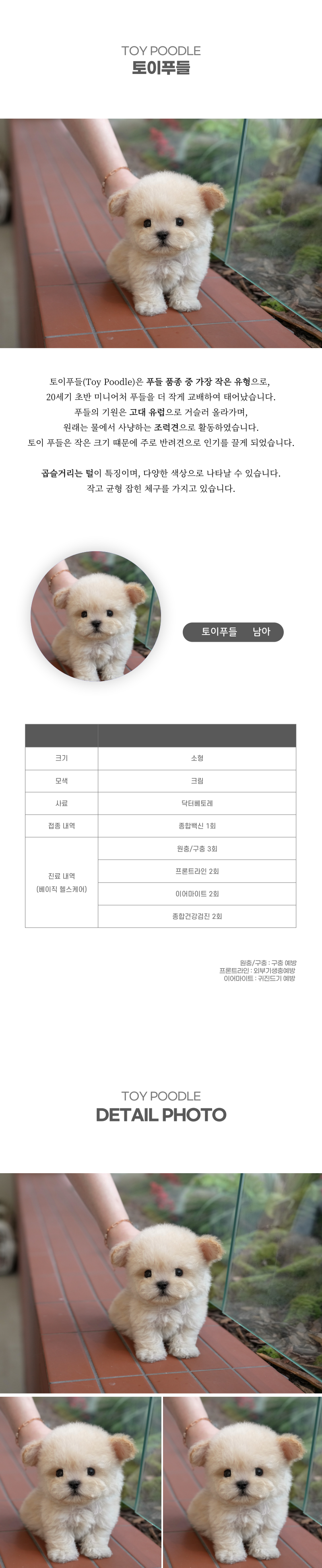토이푸들_상세이미지_2