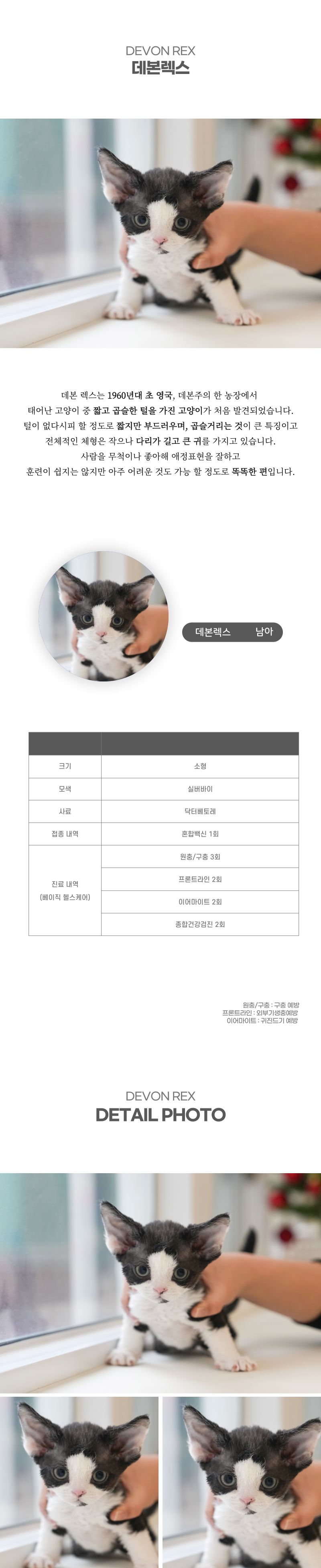데본렉스_상세이미지_2