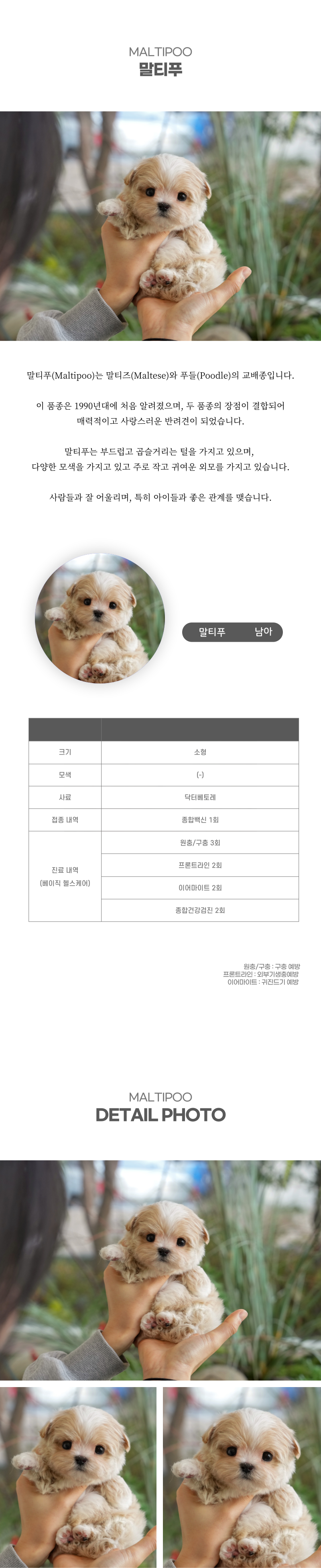 말티푸_상세이미지_2