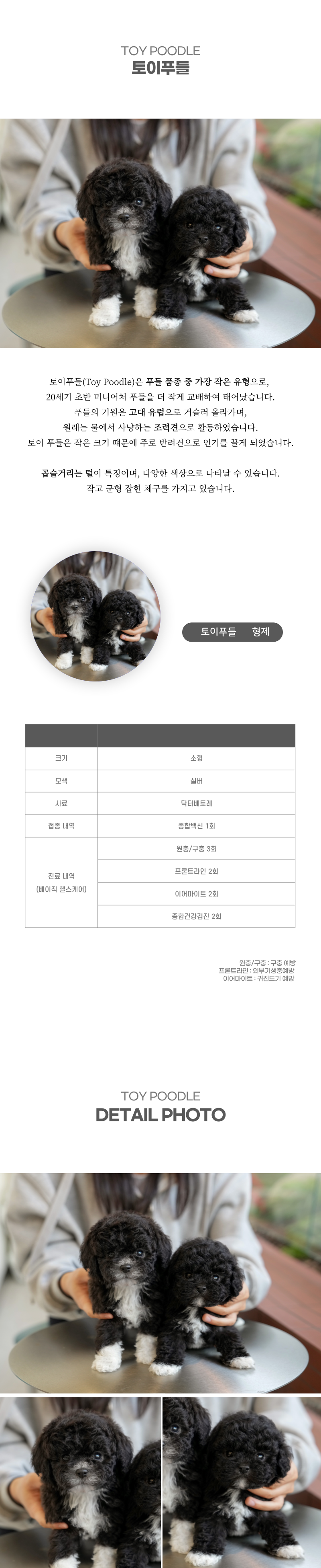 토이푸들_상세이미지_2