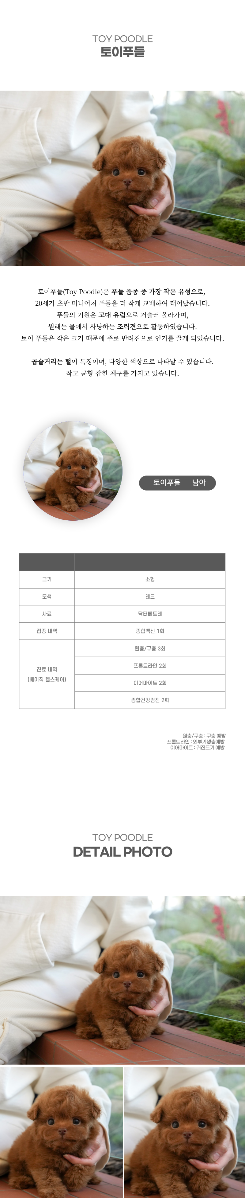 토이푸들_상세이미지_2