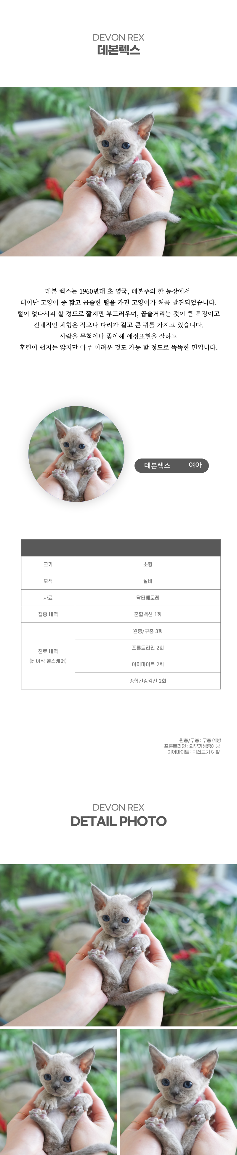 데본렉스_상세이미지_2