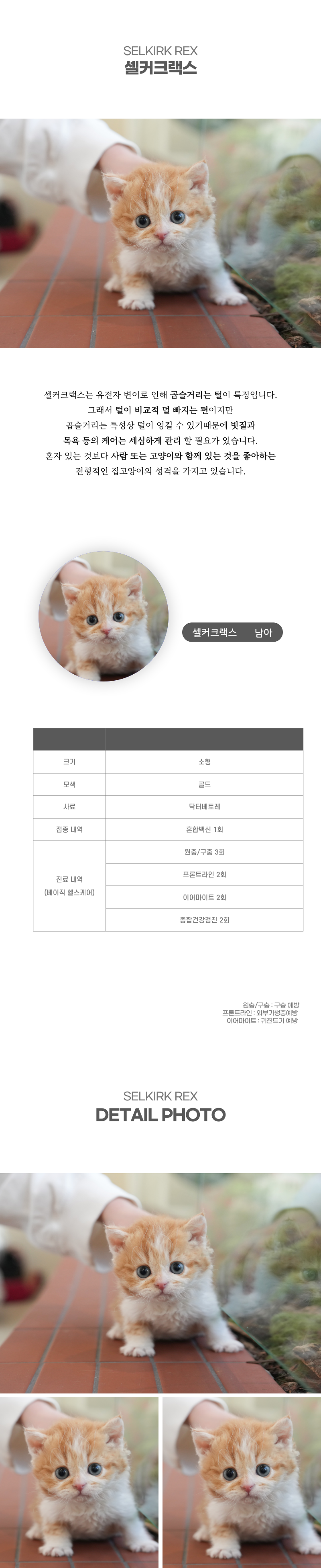 셀커크랙스_상세이미지_2
