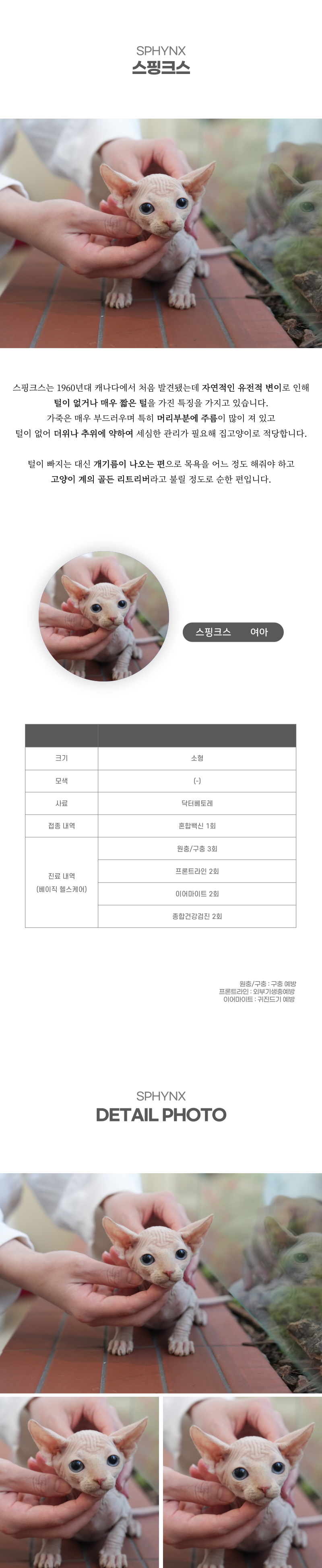 스핑크스_상세이미지_2