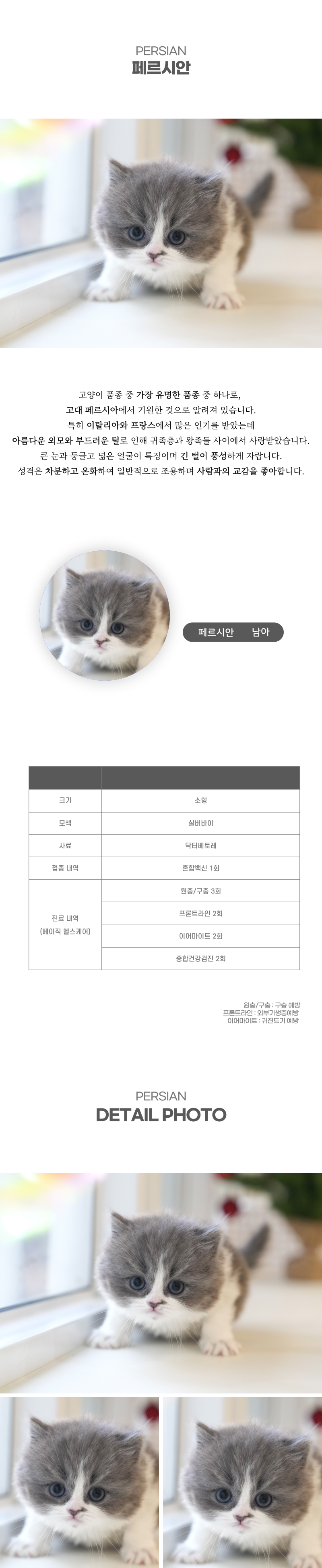 페르시안_상세이미지_2