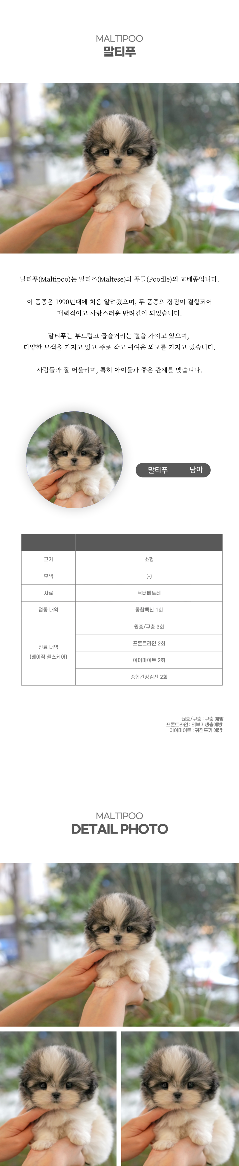 말티푸_상세이미지_2