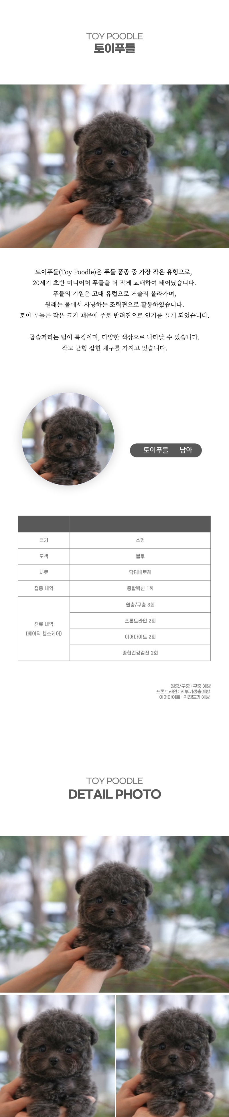 토이푸들_상세이미지_2