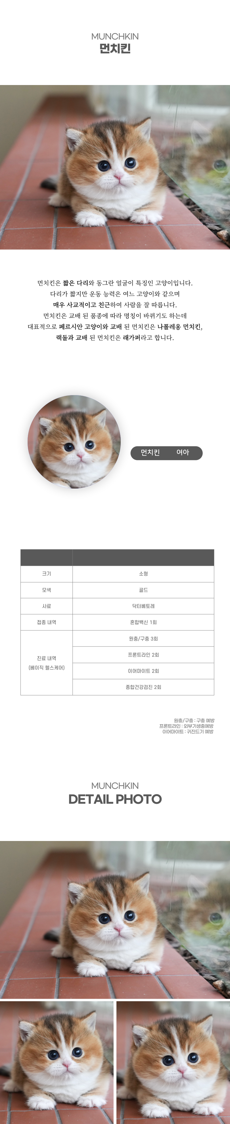 먼치킨_상세이미지_2